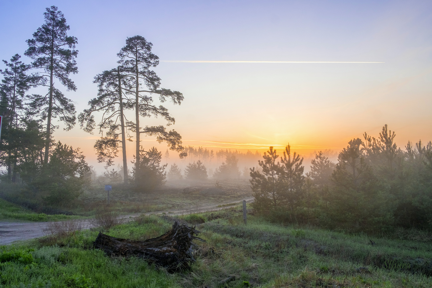 На утренней заре.