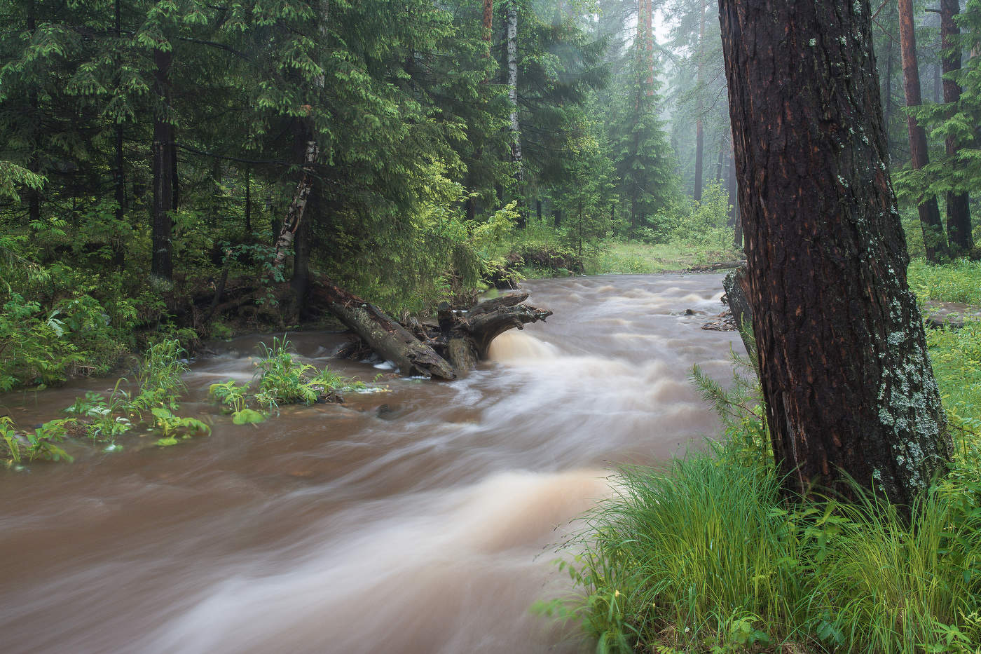 После ливня