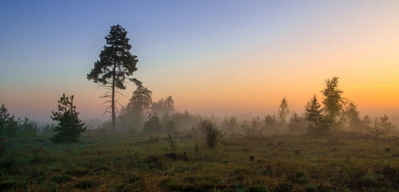 Весеннее утро.