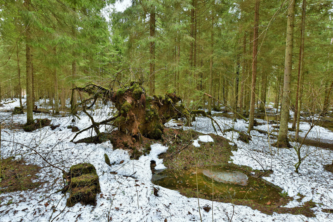 Апрель. Бессолнечный день ...