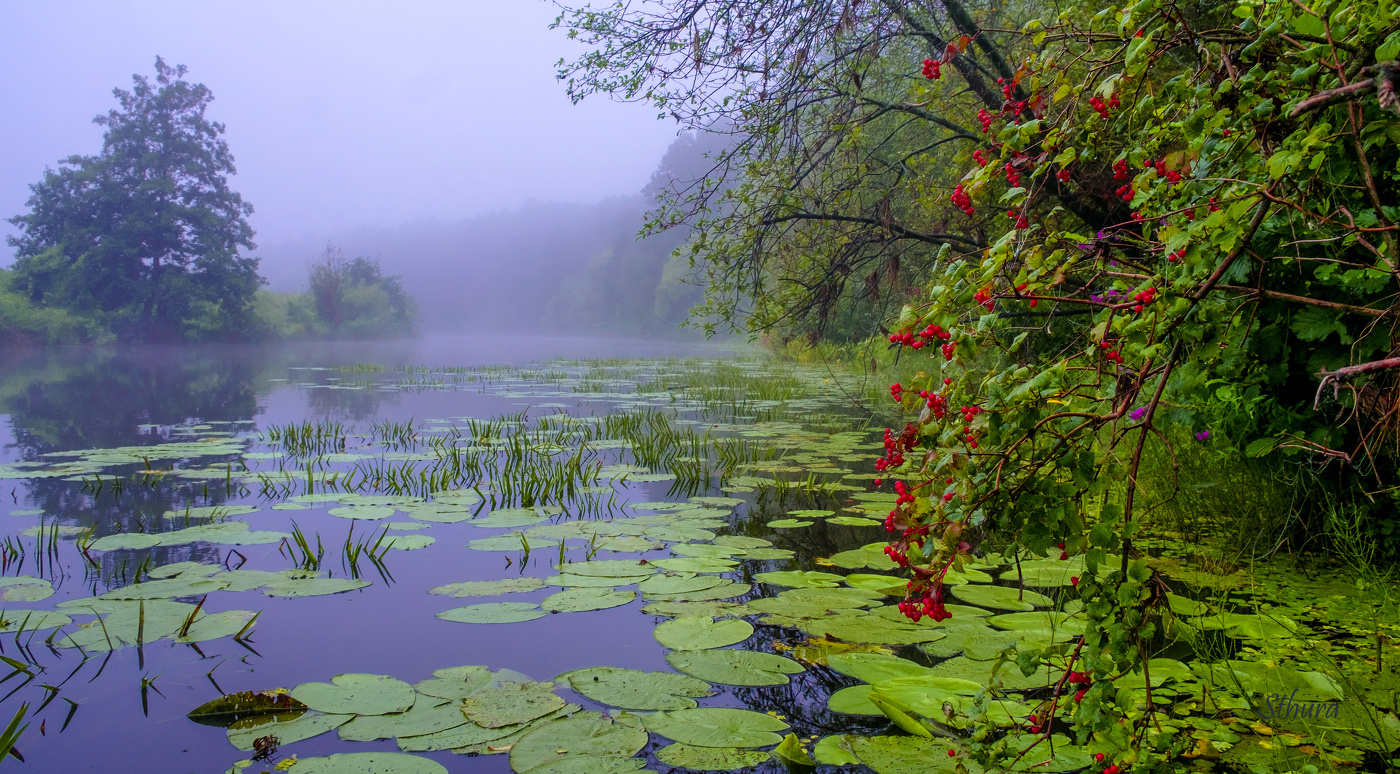 Летнее, пасмурное утро.