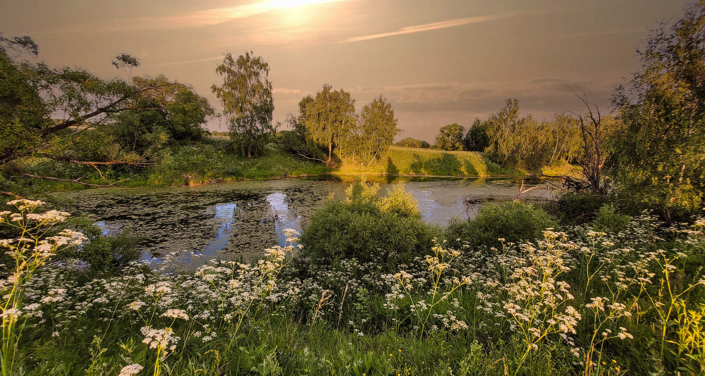 И вновь природа пробудилась ото сна,