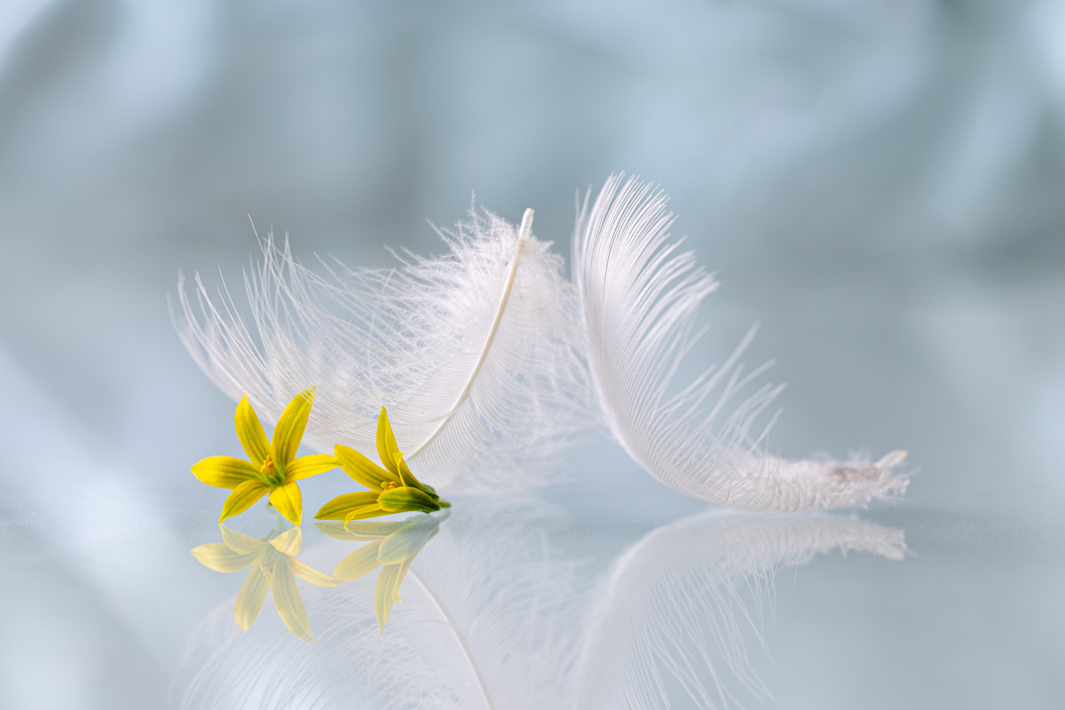 The tenderness of spring