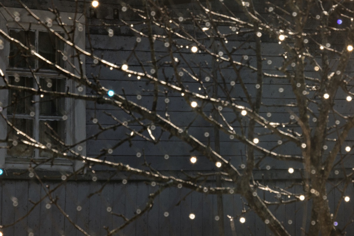 Жизнь вокруг