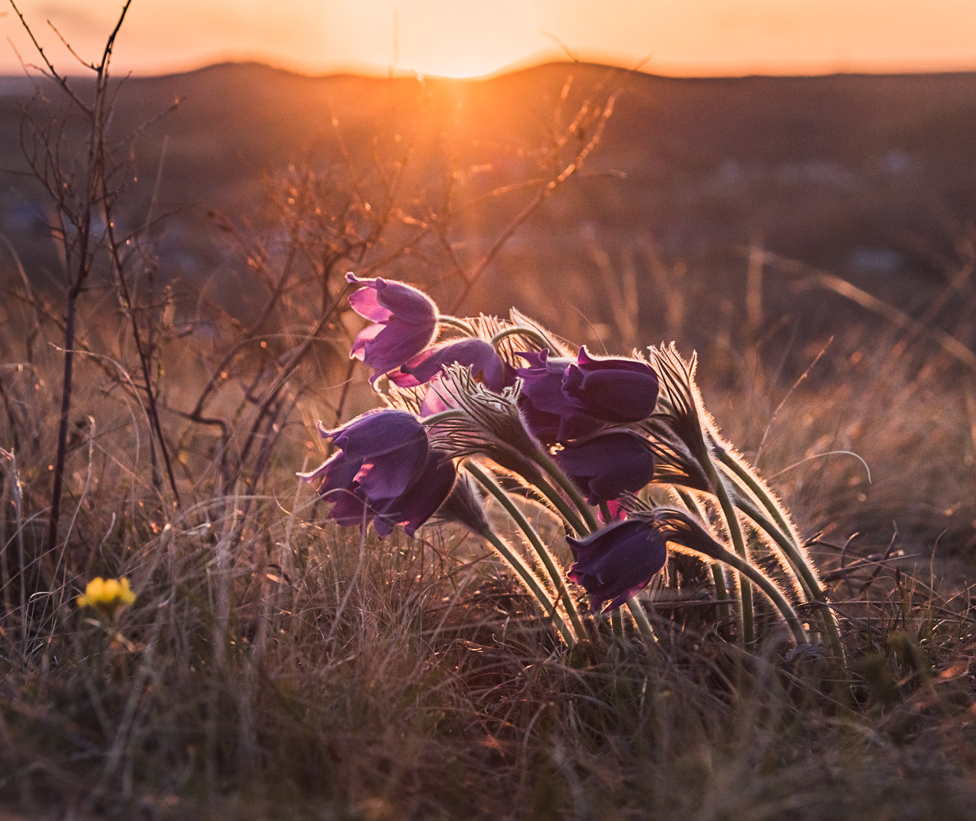 Прощай, апрель!