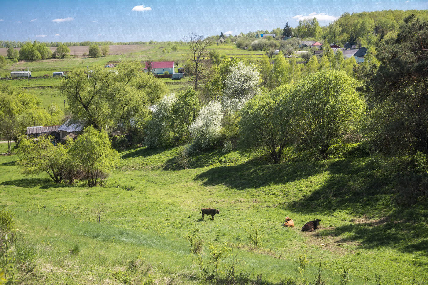 Апрельская пастораль.