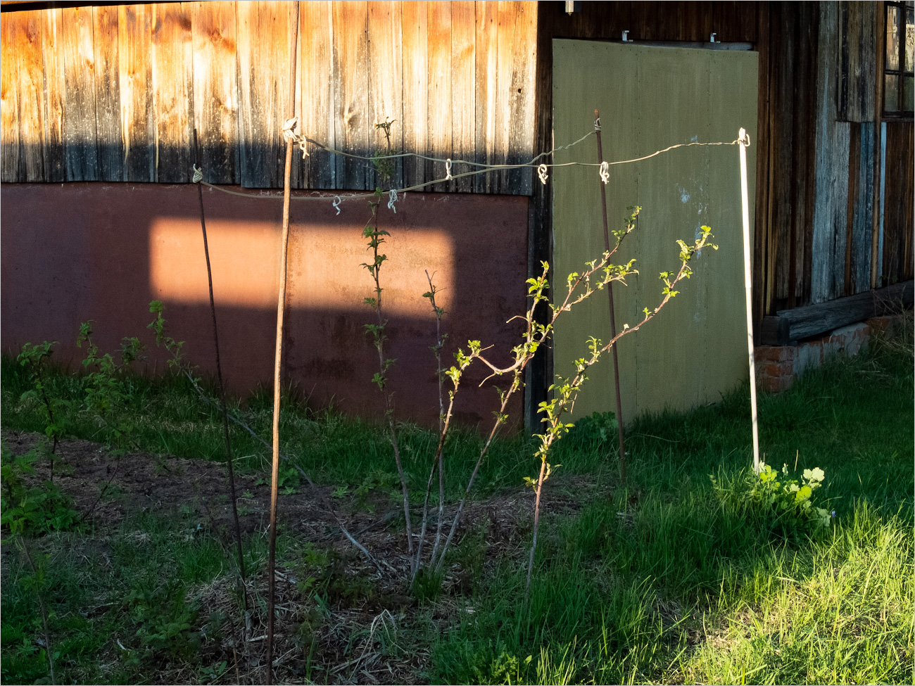 пляски без бубна