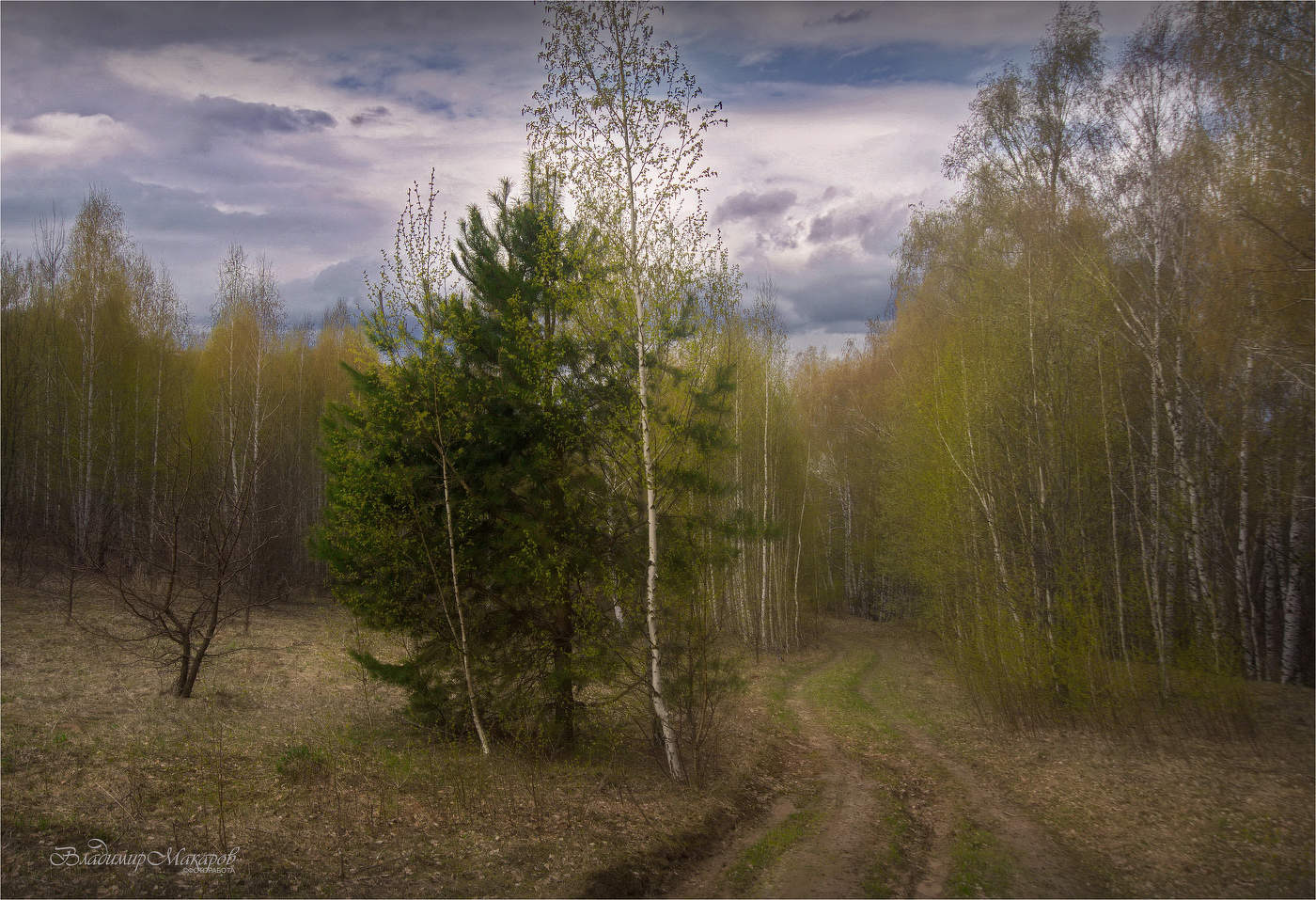 "Нежная весна в Водолеево"©