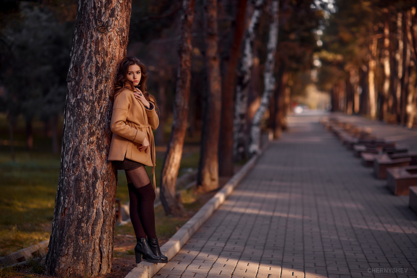 из альбома "логика листьев".