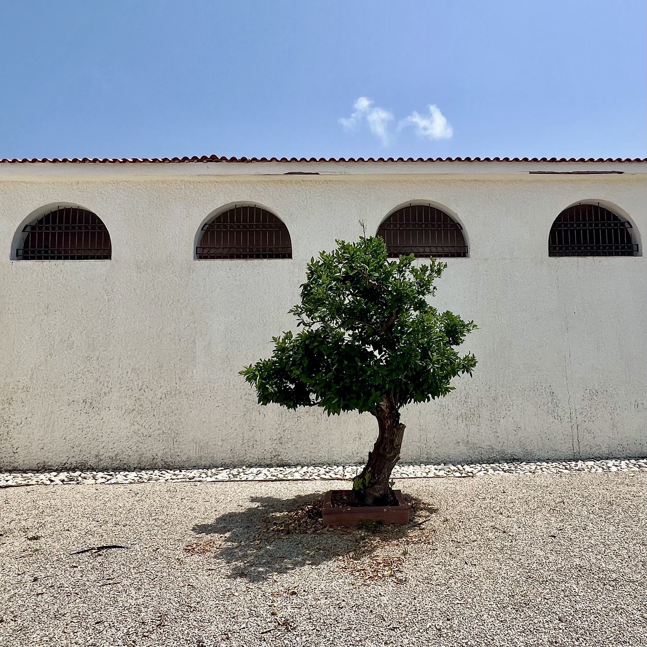 Простая картинка