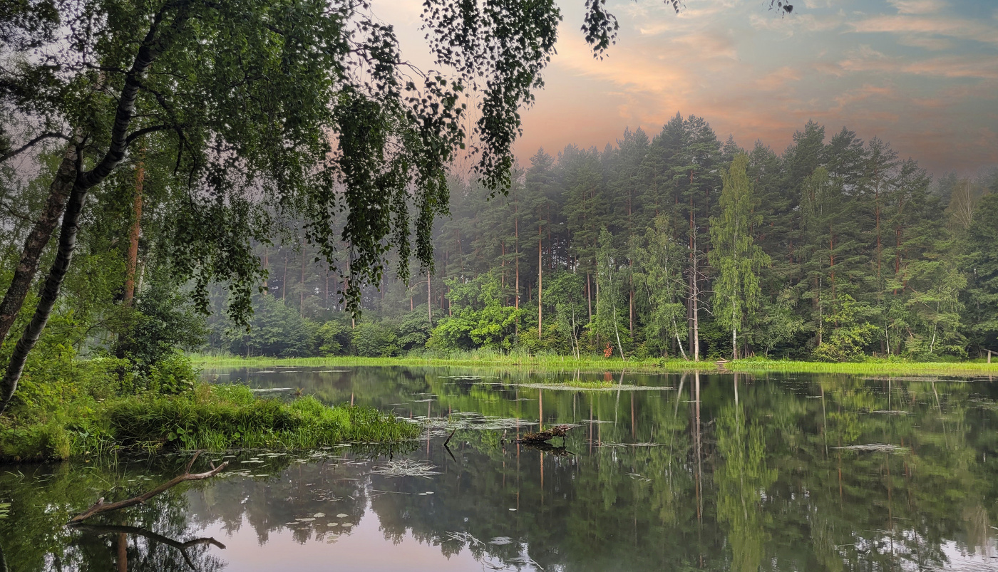 Рассвету ,уступая-тонкой дымкой таял туман.