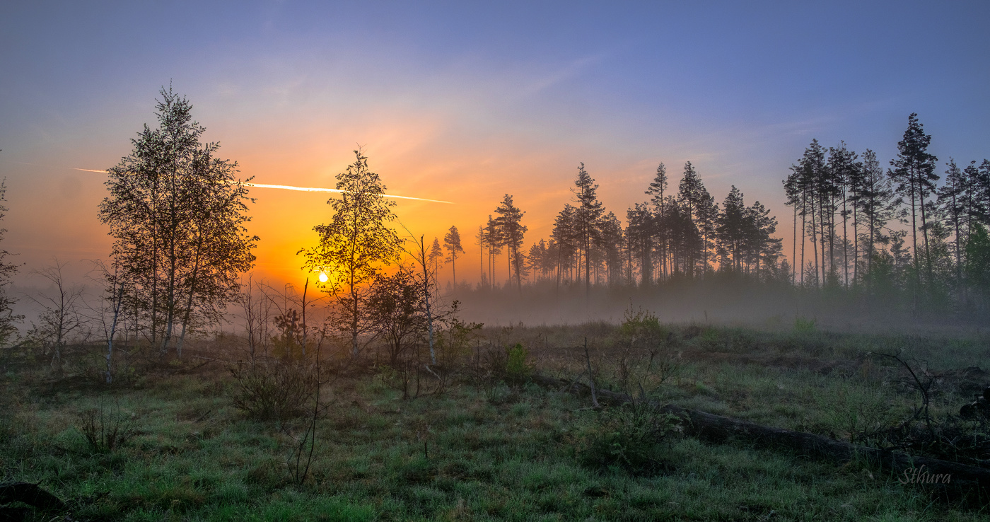 Утренний пейзаж.