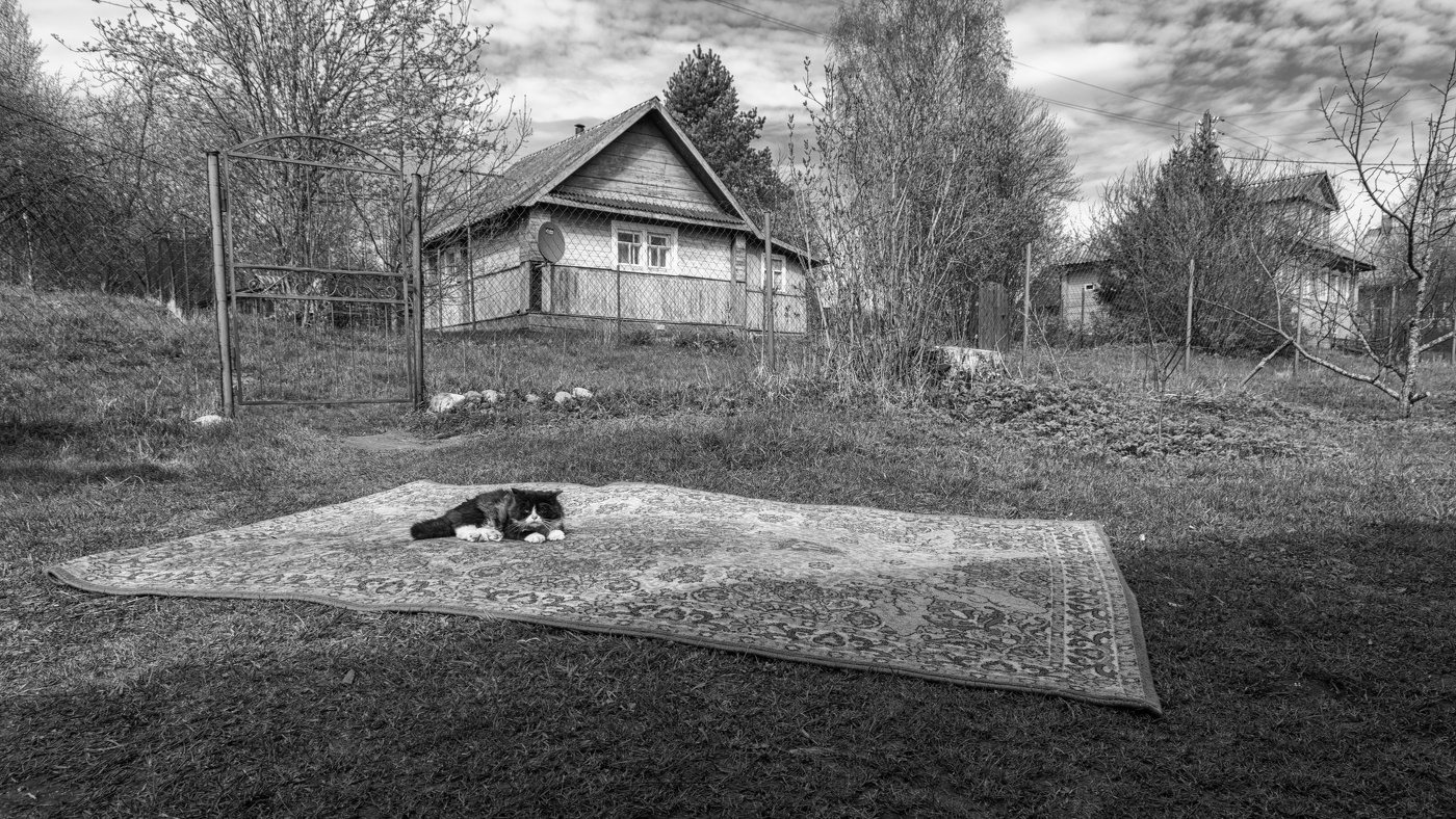 Жизнь вокруг