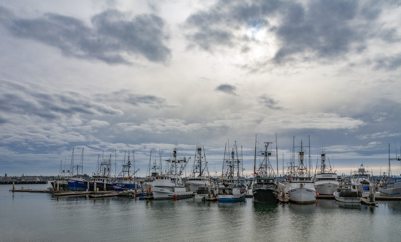 В родной гавани