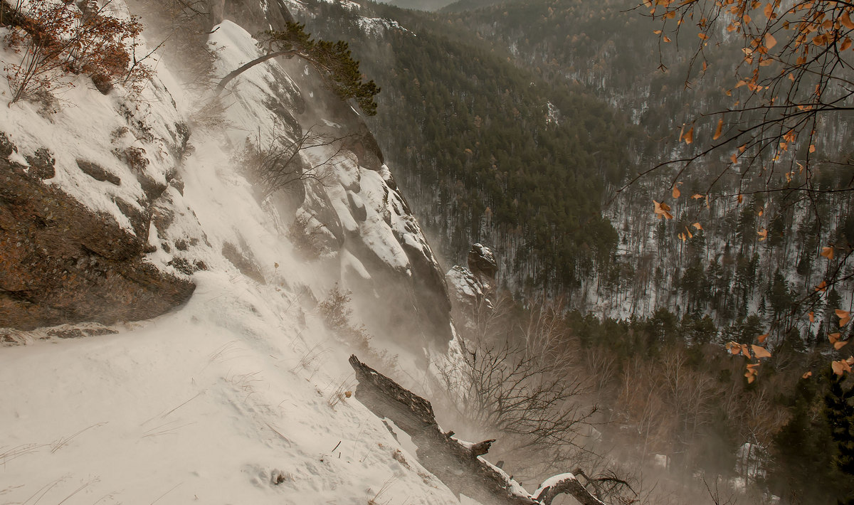 Предновогодняя метель.