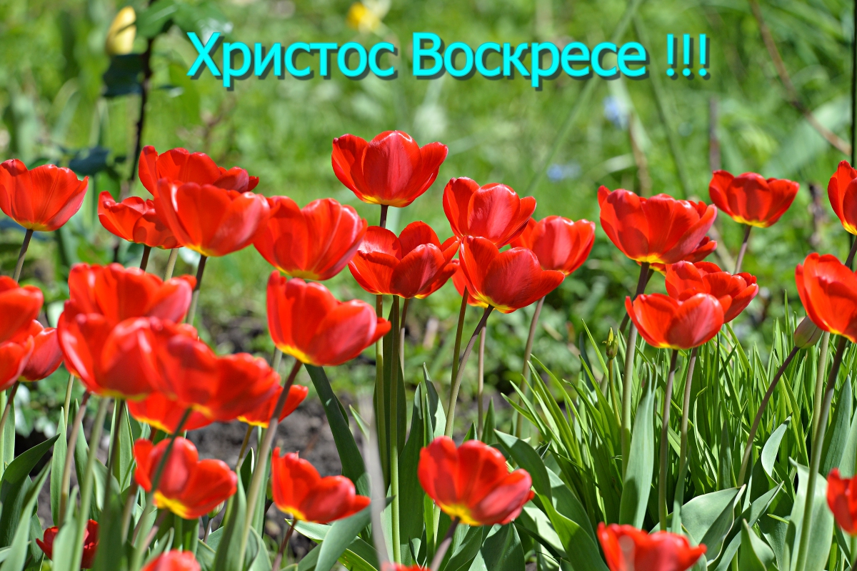 Христос Воскресе