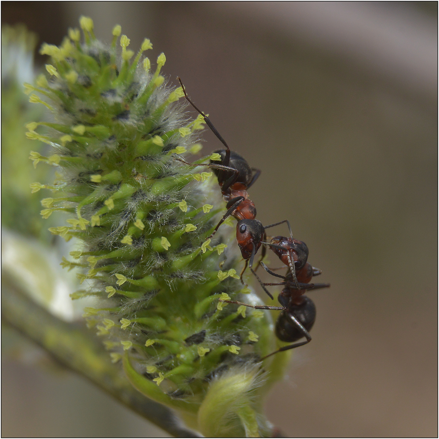 Ну как не стыдно-то?
