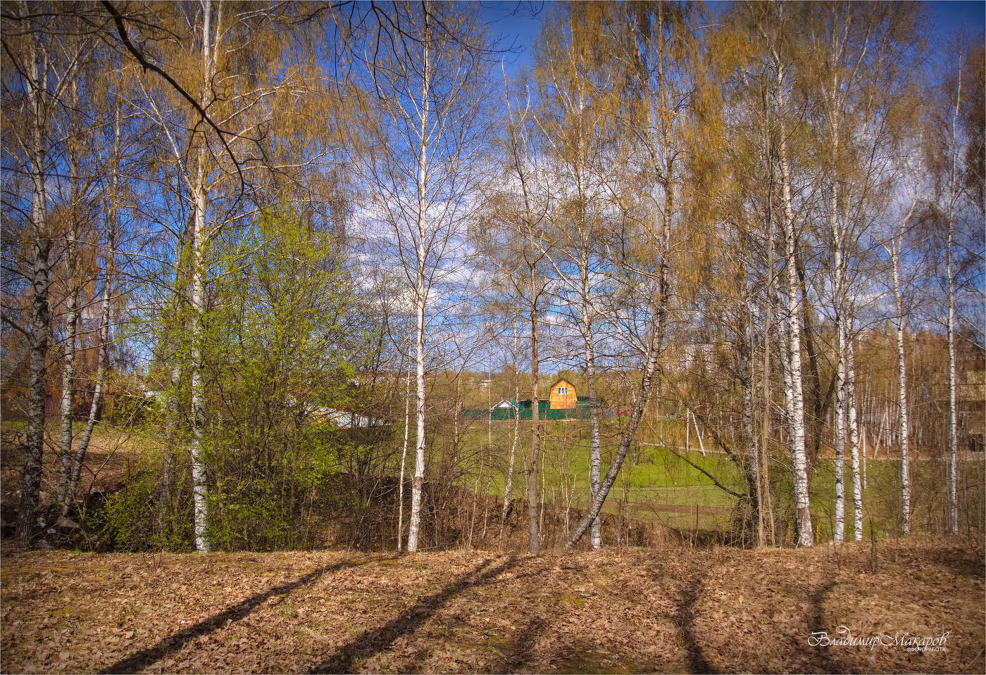 "Весна в мажоре"©