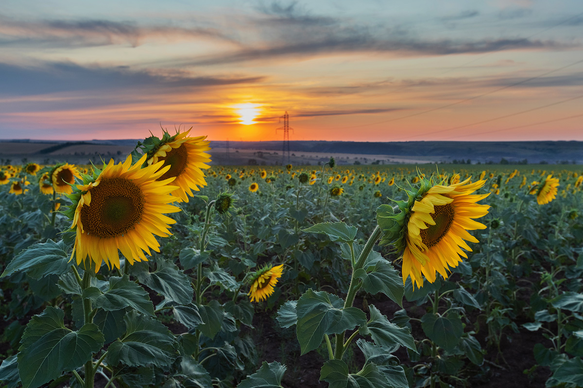 Вот и август