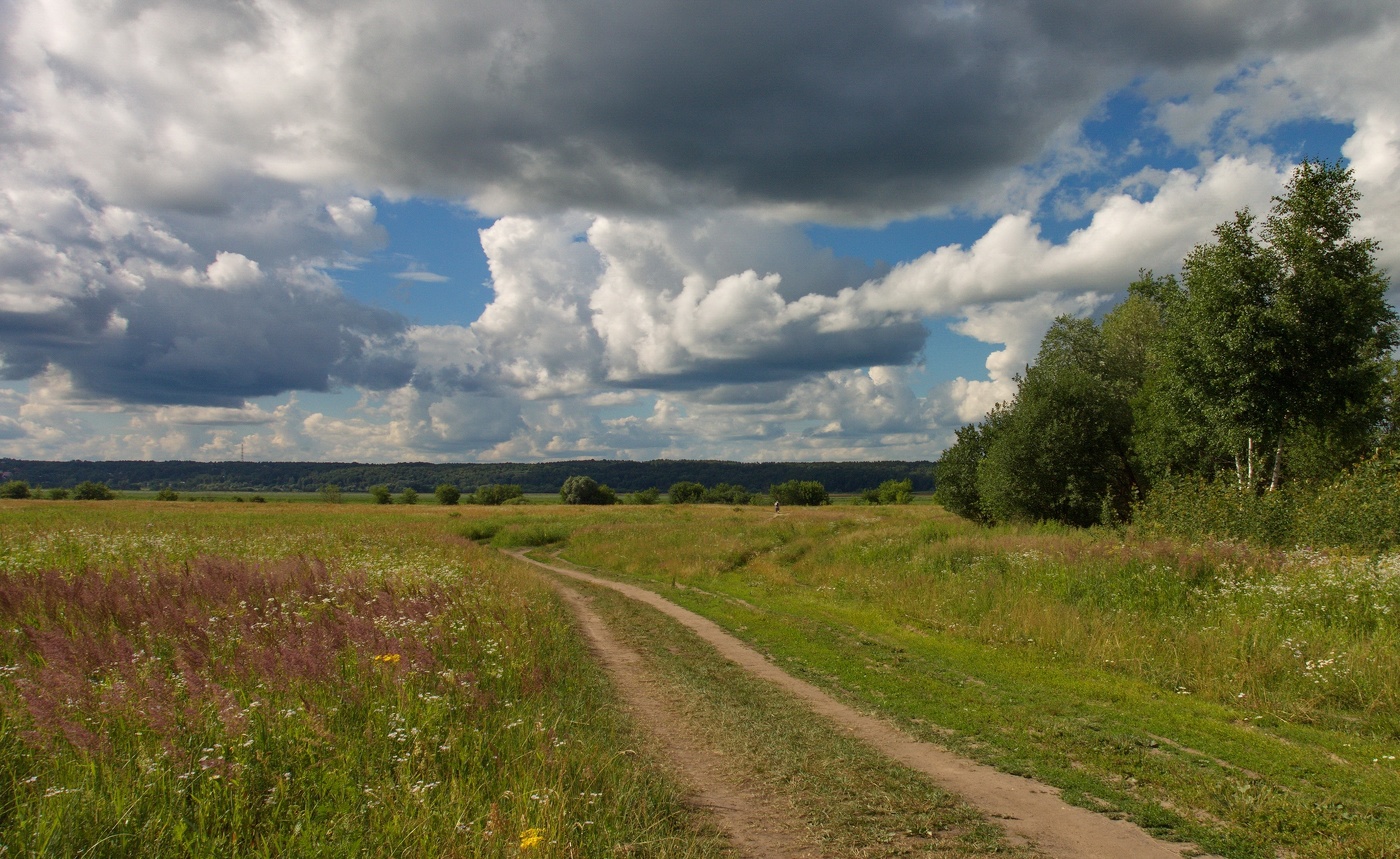 Сюжет из лета