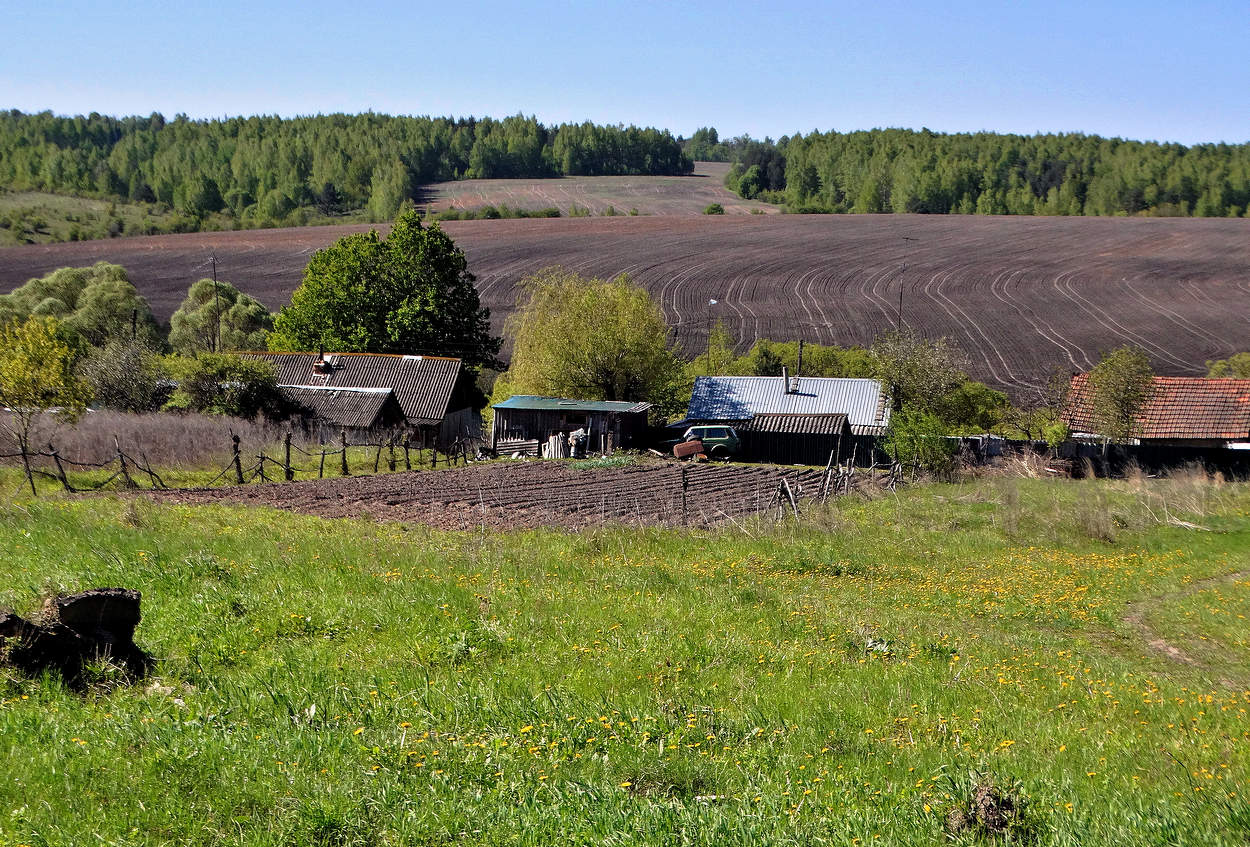 Деревенский сюжет в мае