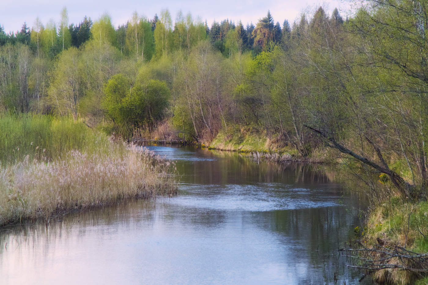 Весенним утром