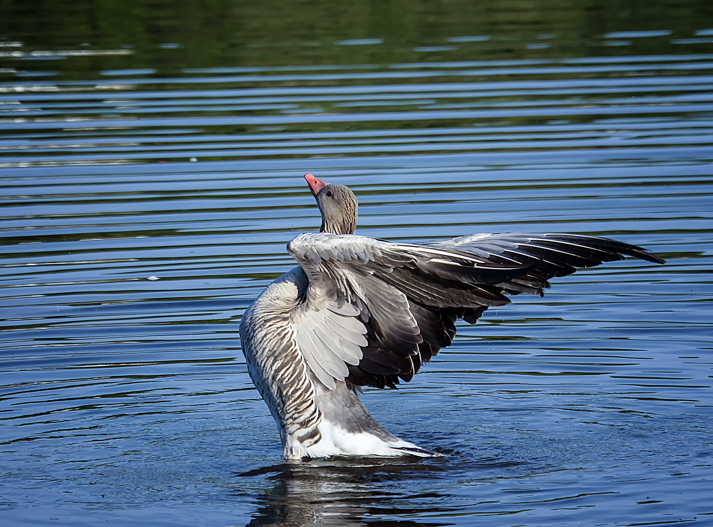 Ну прям Ника