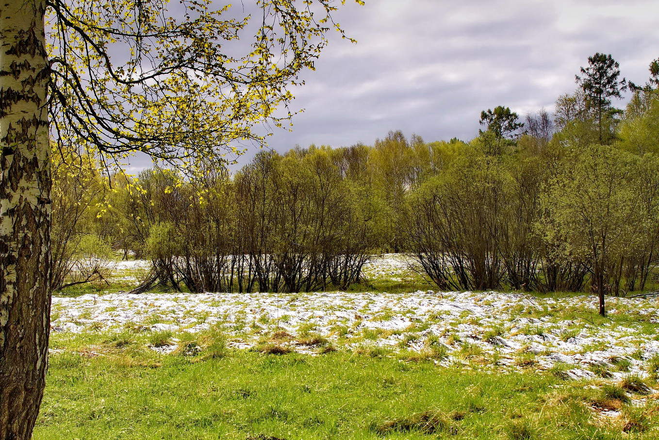 Майский снег.
