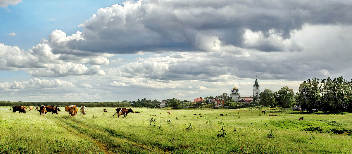 Солнечный луг.