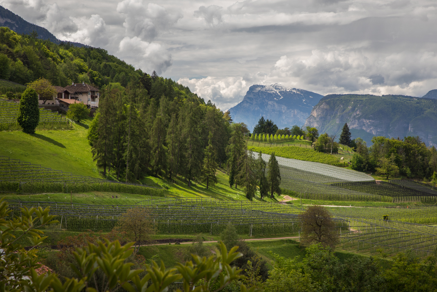 Майское утро