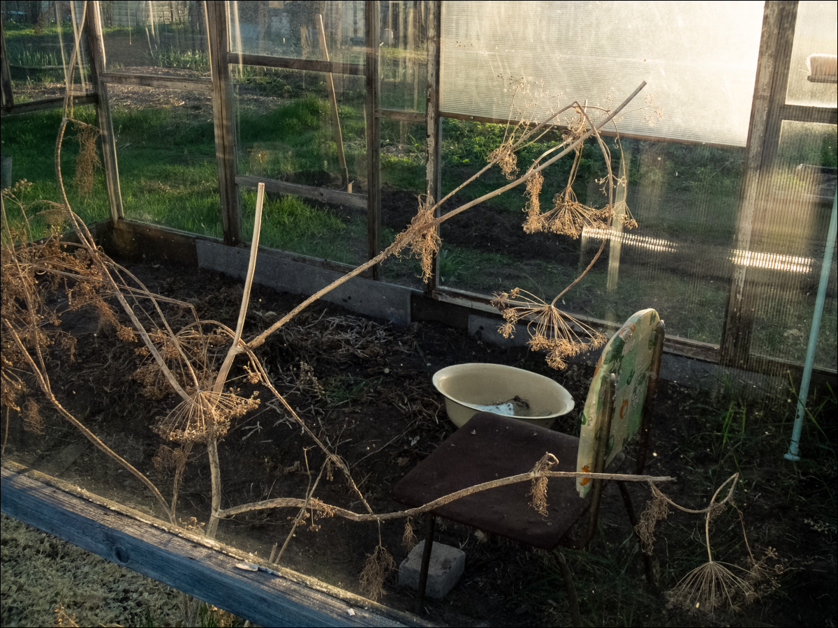 пейзаж моего натюрморта