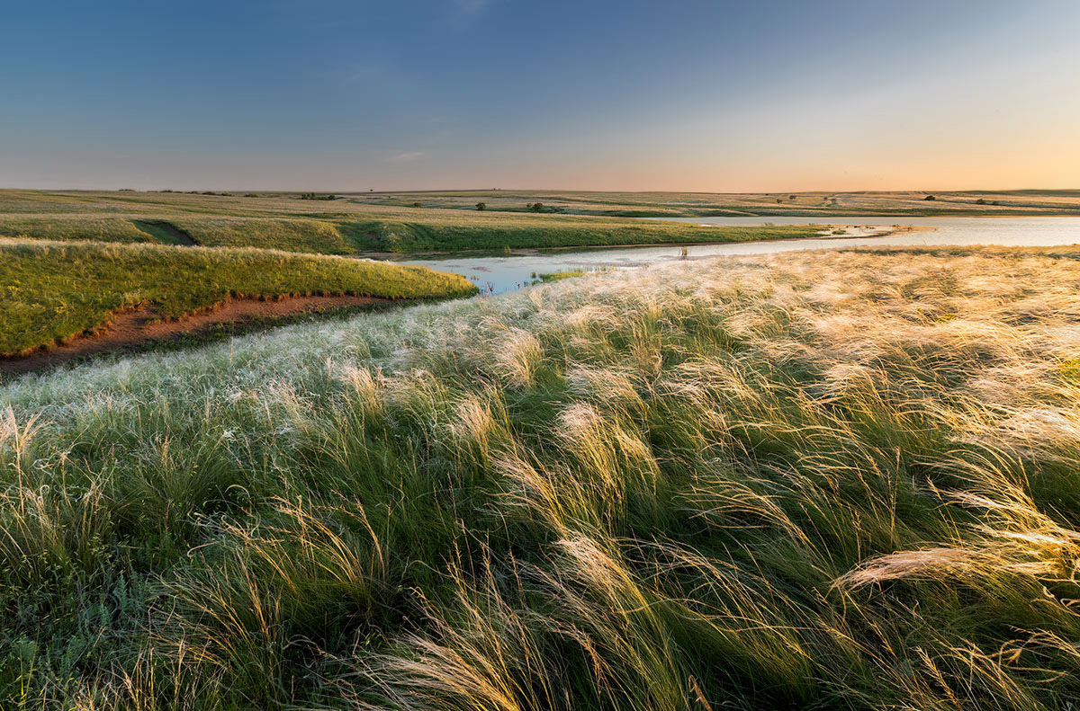 У степного пруда