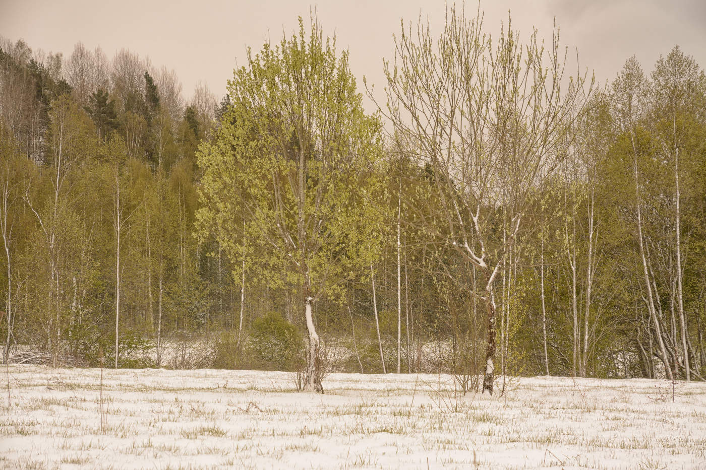 Жизнь вокруг