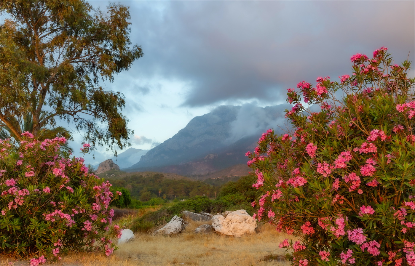 ДУША В ВОСТОРГЕ ЗАМИРАЛА...