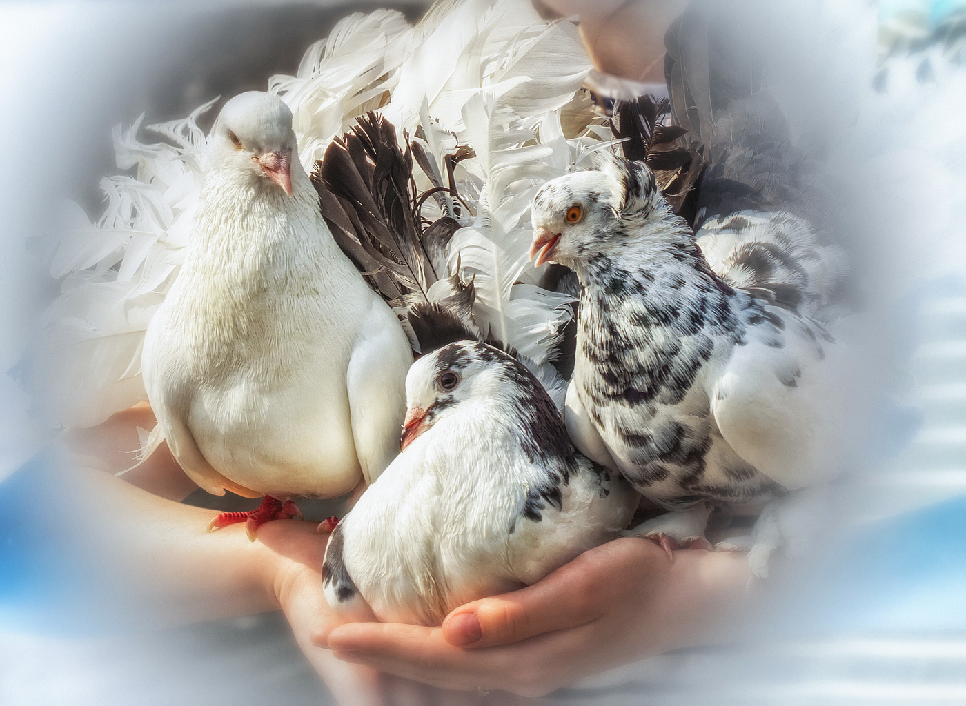 С днём Победы!