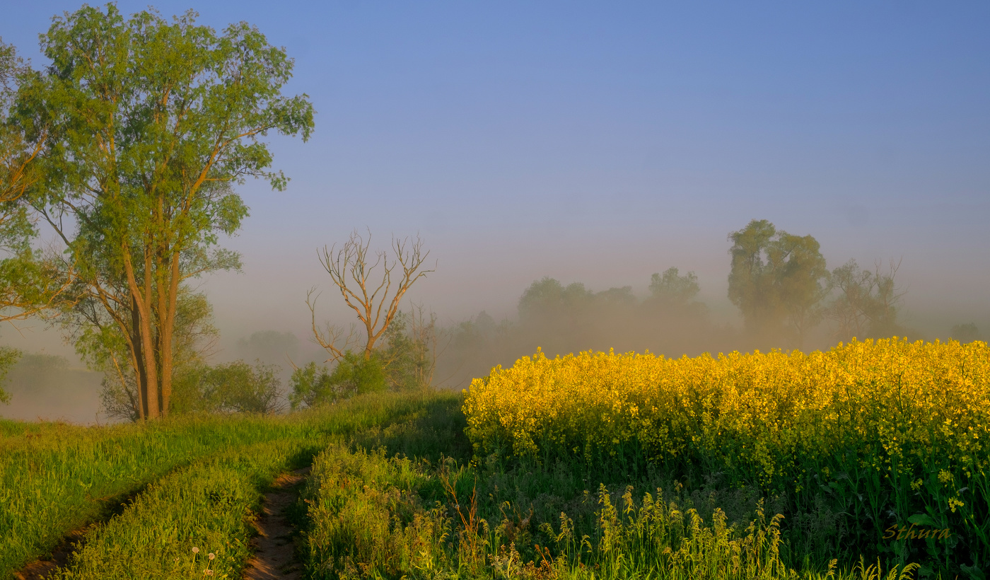 В поле у озера.