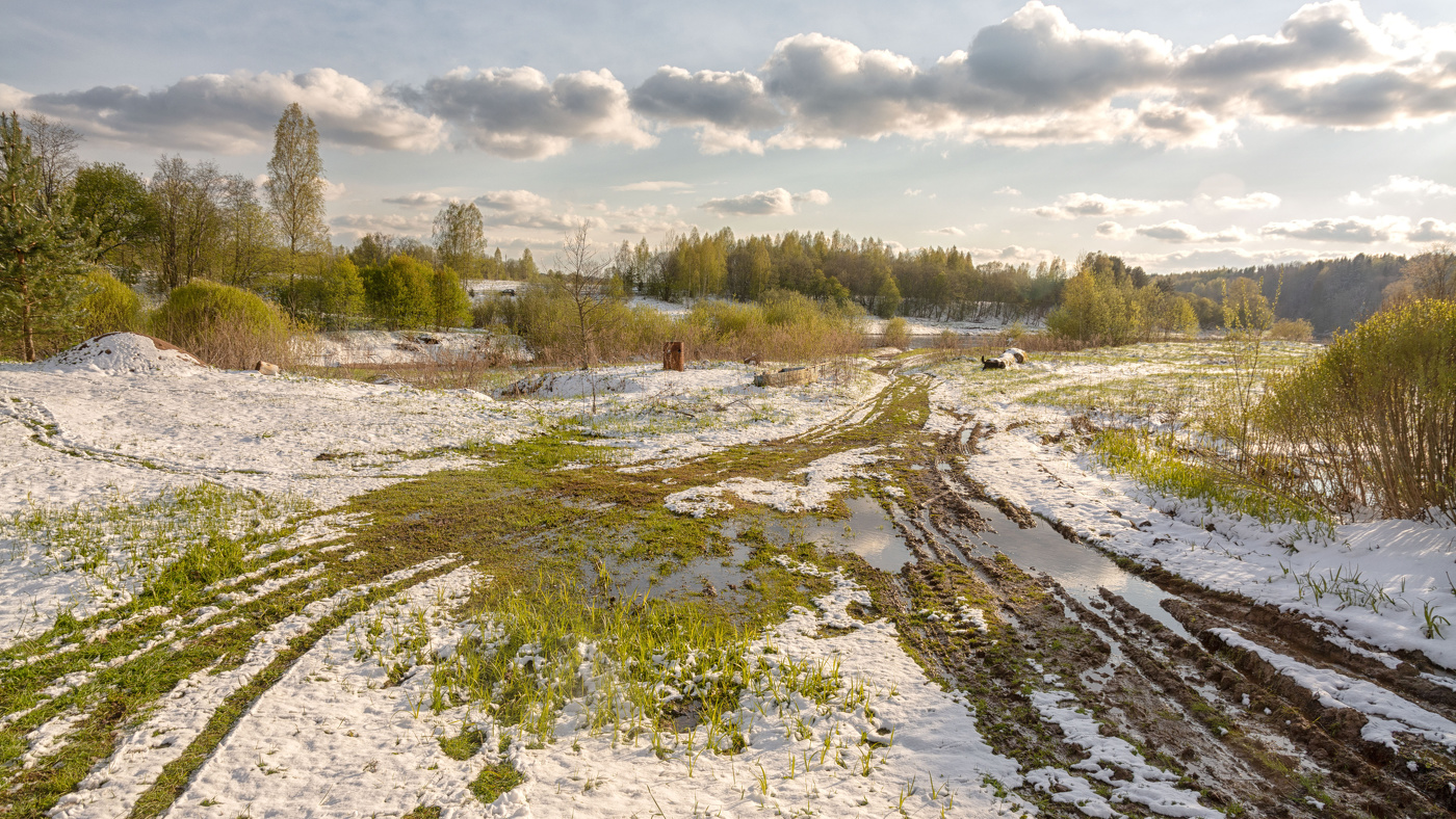 Жизнь вокруг
