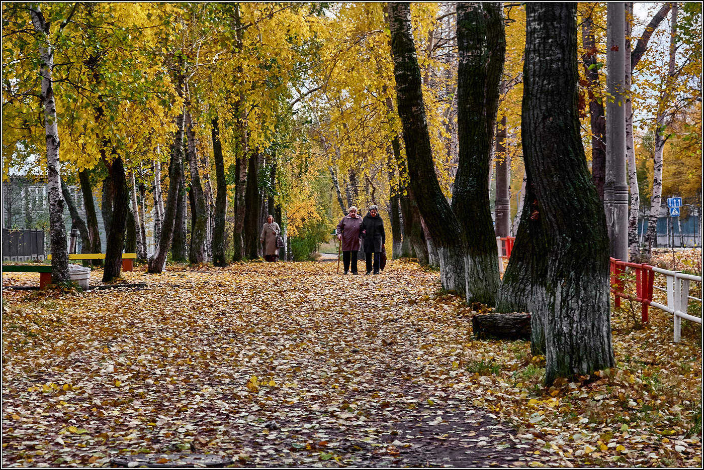 "...надо благодарно принимать."