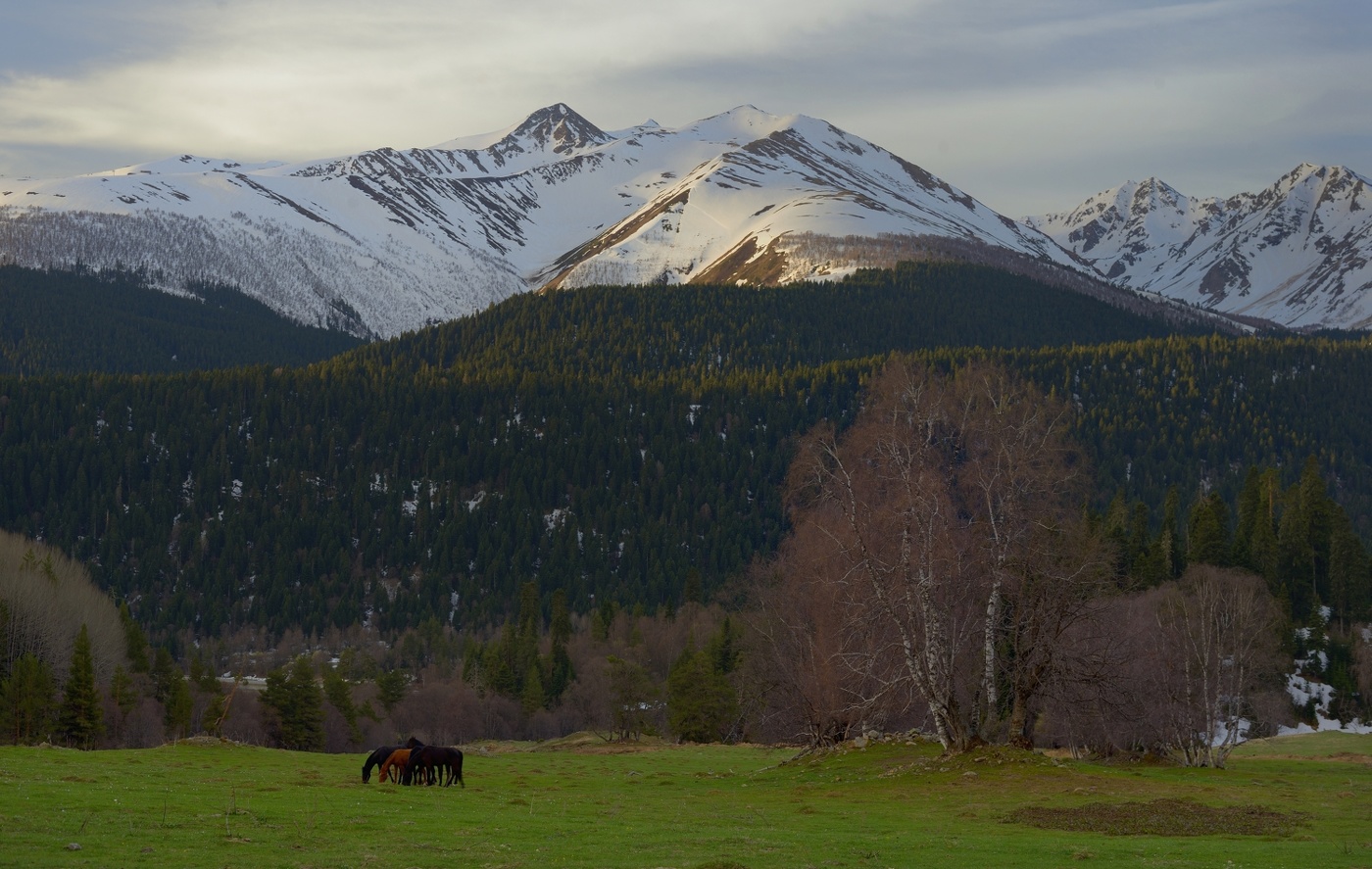 Весеннее утро