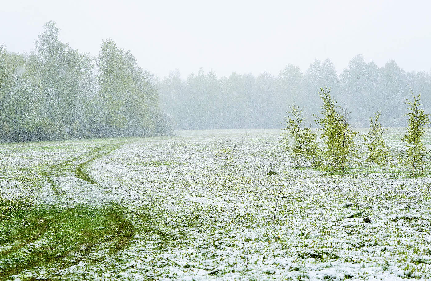 Сюрпризы майской погоды ...