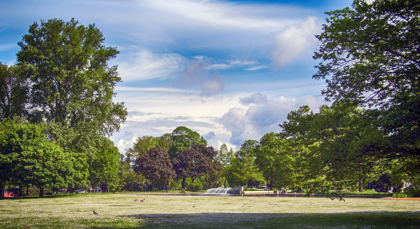 В рейнском парке
