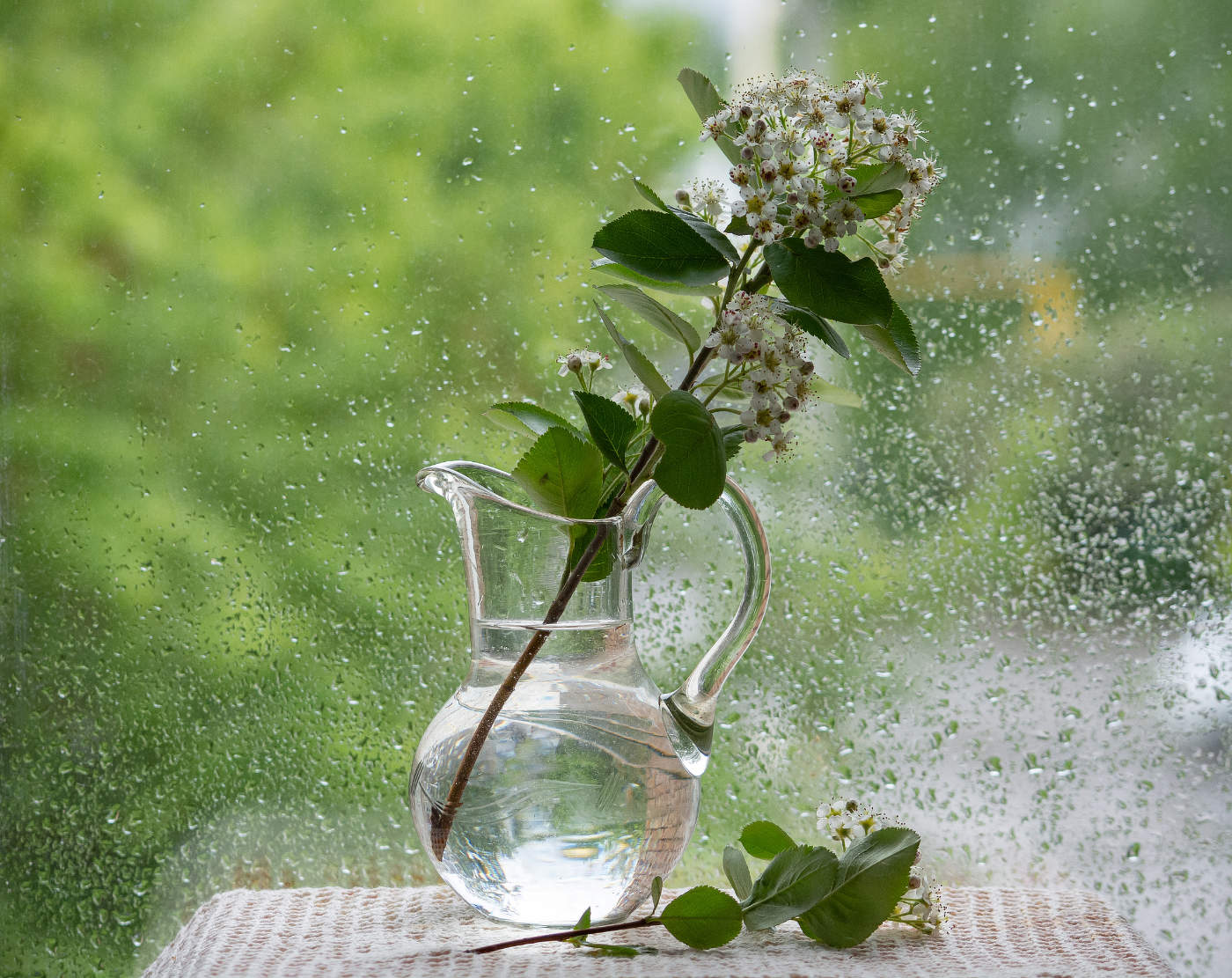 А за окном весенний дождь...