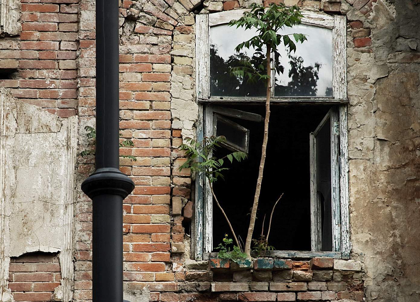 явка провалена