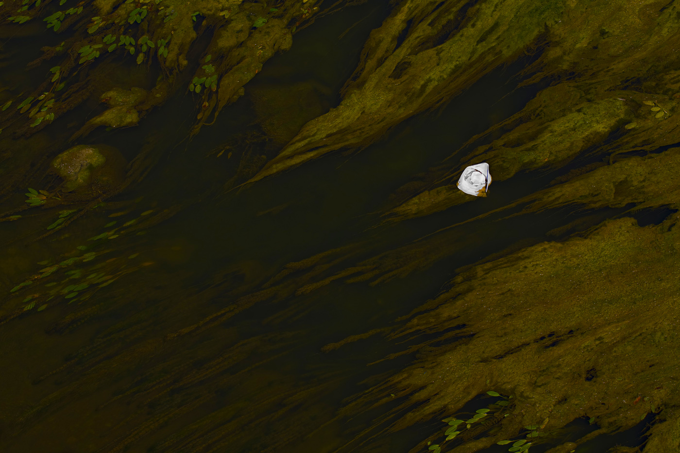 Воспоминания об Италии 31