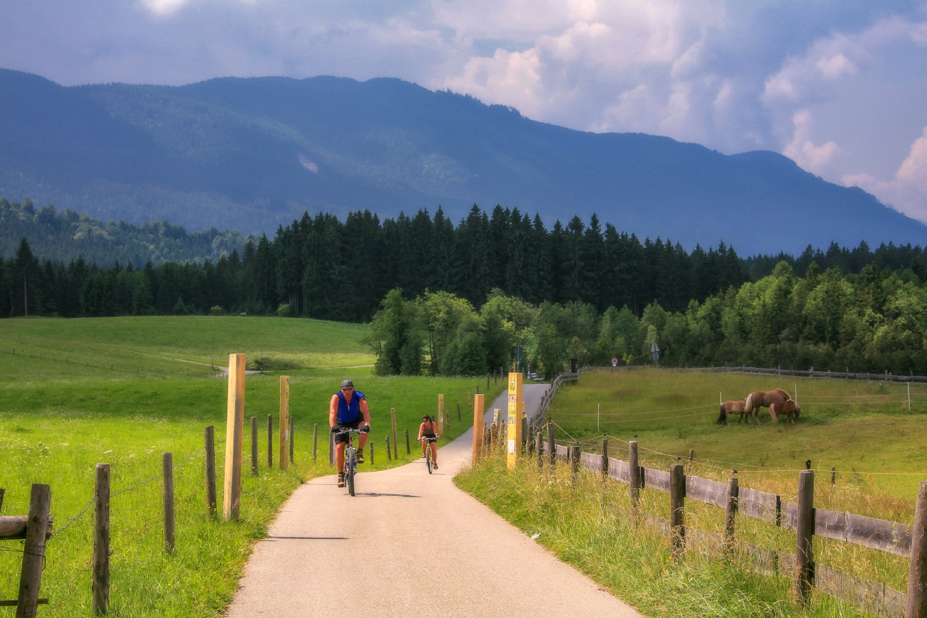 "Я буду долго гнать велосипед ..."