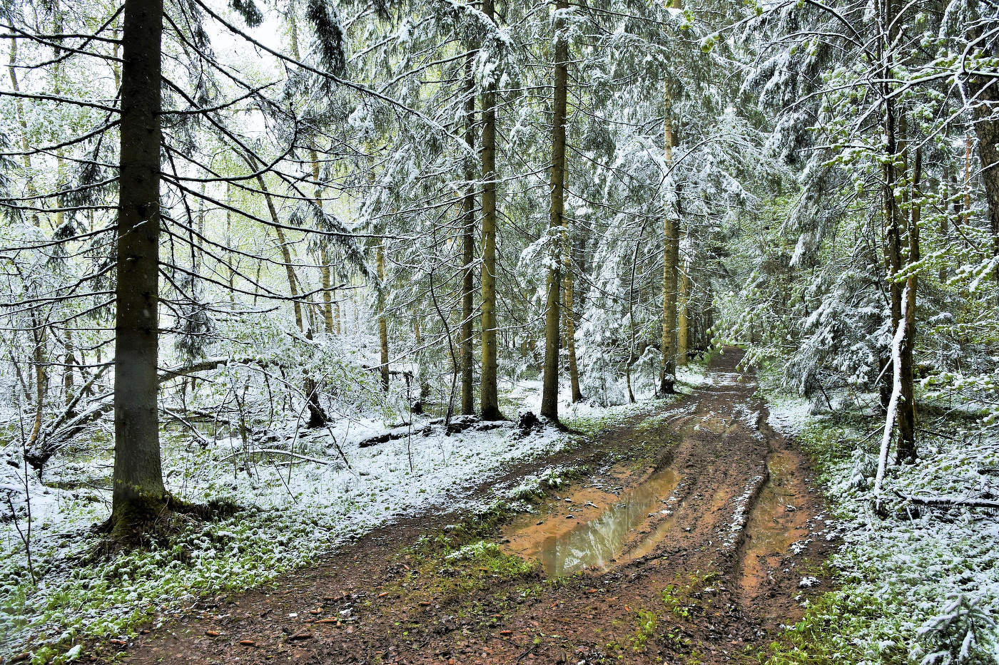 Был месяц май ...