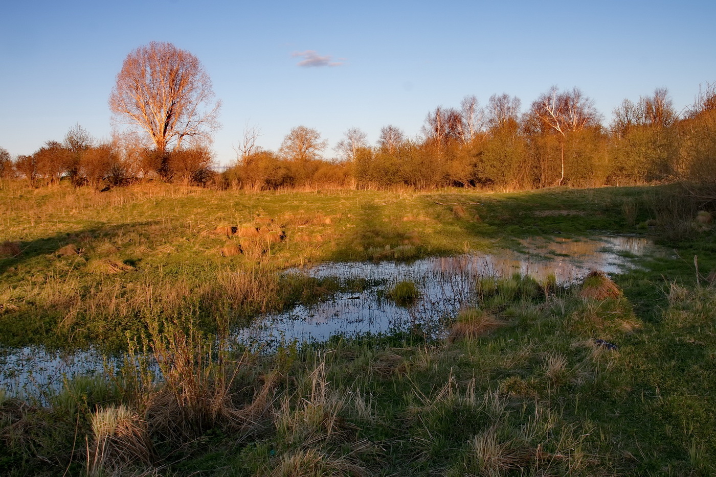 *Весенним вечером.**