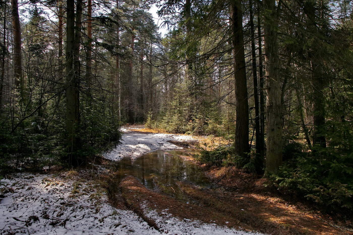 Майским днём.