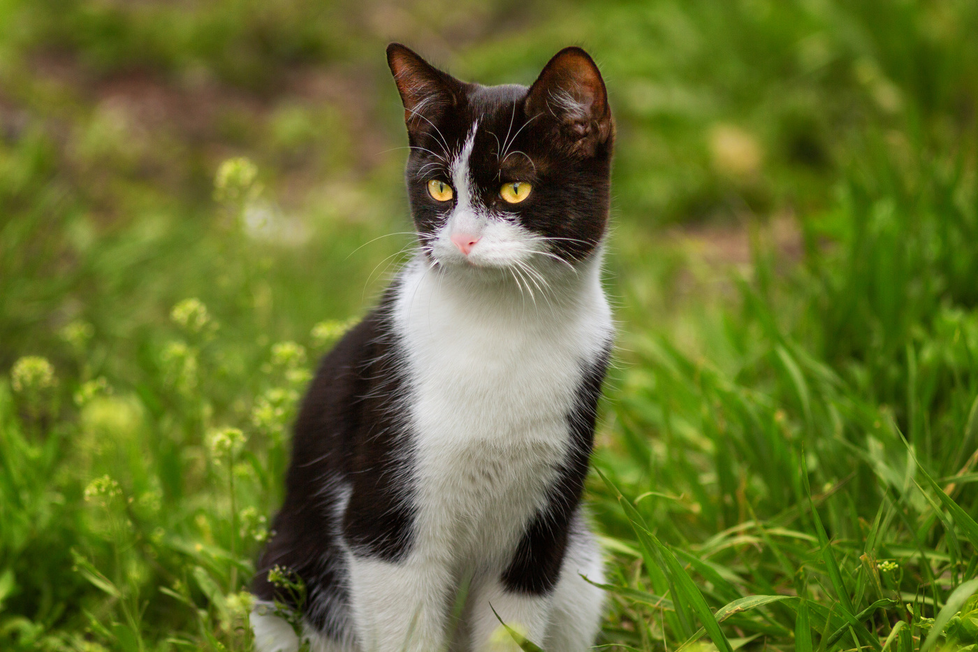 "Обаятельная и привлекательная"