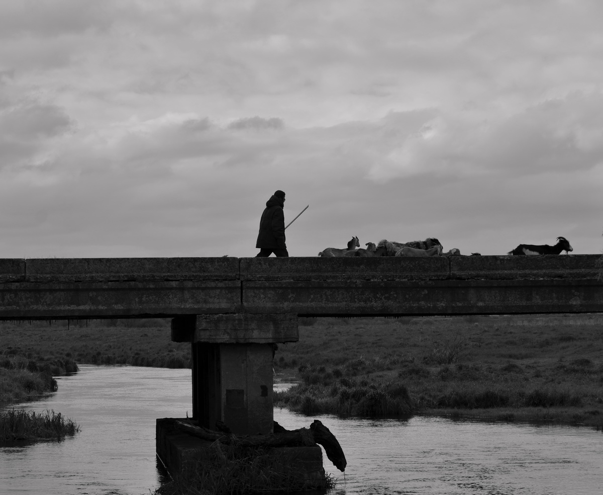 одинокий пастух)